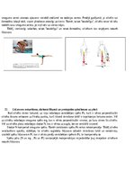 Summaries, Notes 'Atbildes par medicīnas fiziku', 23.