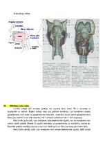 Summaries, Notes 'Atbildes par medicīnas fiziku', 53.