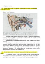 Summaries, Notes 'Atbildes par medicīnas fiziku', 54.