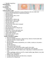 Summaries, Notes 'Intrakutānās jeb intradermālā injekcijas veikšana', 6.