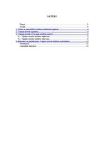 Research Papers 'Viļakas novada 2010.gada budžeta analīze', 2.