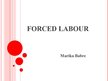 Presentations 'Forced Labour in Brazil', 1.