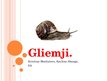 Presentations 'Gliemji', 1.