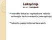 Presentations 'Leikoze. Hroniska limfoleikoze', 4.