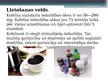 Presentations 'Nikotīns un kofeīns', 9.