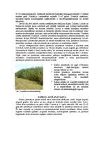 Research Papers 'Kurināmās koksnes ieguves tehnoloģijas', 2.