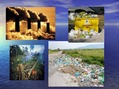 Presentations 'Environmental Problems', 10.