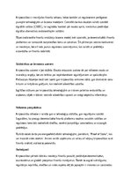 Essays 'Kriptovalūtas – nākotnes finanšu instruments vai riskants eksperiments?', 3.