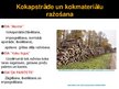 Presentations 'Dabas resursu un vides stāvokļa novērtējums Jūrmalā', 16.