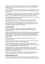 Summaries, Notes 'Ulubeles pasaku īss satura atstāstījums', 4.
