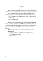 Research Papers 'Harizma un tās loma politikā', 3.