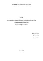 Research Papers 'Starptautiskās privātās darba tiesības, ģimenes tiesības. Starptautiskais civilp', 1.
