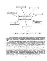 Research Papers 'Naida runa sociālajos tīklos', 6.