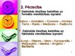 Presentations 'Tiesību filozofijas pirmsākumi Eiropā', 2.