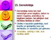 Presentations 'Tiesību filozofijas pirmsākumi Eiropā', 15.