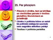Presentations 'Tiesību filozofijas pirmsākumi Eiropā', 20.