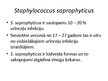 Presentations 'Staphylococcus saprophyticus baktērijas', 4.
