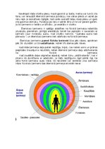 Summaries, Notes 'Ēteriskais jeb dzīvinošais ķermenis', 2.