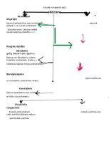 Summaries, Notes 'Loģika un kritiskā domāšana ar uzdevumiem', 1.