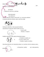 Summaries, Notes 'Loģika un kritiskā domāšana ar uzdevumiem', 3.