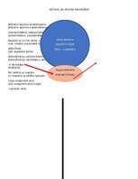 Summaries, Notes 'Loģika un kritiskā domāšana ar uzdevumiem', 5.