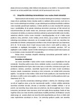 Term Papers 'Luksusa un masu modes zīmolu integrētās mārketinga komunikācijas salīdzinājums', 16.
