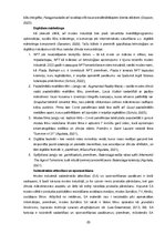 Term Papers 'Luksusa un masu modes zīmolu integrētās mārketinga komunikācijas salīdzinājums', 20.