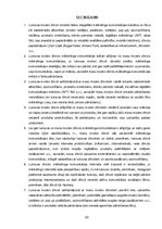 Term Papers 'Luksusa un masu modes zīmolu integrētās mārketinga komunikācijas salīdzinājums', 53.