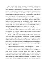 Essays 'Ļeva Vigotska koncepcijas un viņa skolēnu ieguldījums attīstības psiholoģijā', 2.