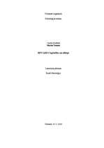 Research Papers 'HIV/AIDS izplatība un cēloņi', 1.