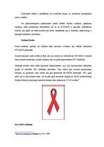 Research Papers 'HIV/AIDS izplatība un cēloņi', 15.