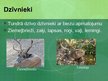 Presentations 'Apraksts par ekosistēmas pļavām', 21.