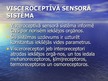 Presentations 'Sensorā sistēma', 47.