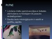 Presentations 'Simboliskās zīmes tetovējumos', 24.