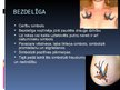 Presentations 'Simboliskās zīmes tetovējumos', 27.