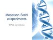Presentations 'Meselson-Stahl eksperiments', 1.