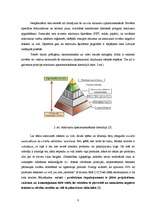 Term Papers 'Pārtikas produktu iepakojuma ekodizaina analīze', 8.