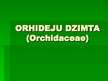 Presentations 'Orhideju dzimta', 1.