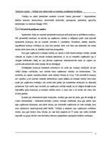 Research Papers 'Gadījuma analīze. Vadības stila efektivitāte un konfliktu risināšanas stratēģija', 7.