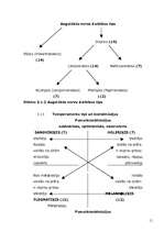 Research Papers 'Temperaments, raksturs un vajadzību struktūra', 11.