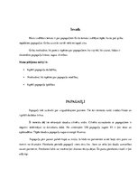 Summaries, Notes 'Papagaiļi', 1.