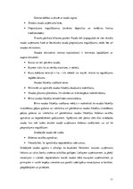Research Papers 'Uzņēmuma LSEZ "Lauma Fabrics" SIA apgrozāmo līdzekļu vadīšana', 11.