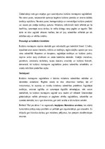 Essays 'Pagātnes atspulgi mūsdienu dzīvē: kultūras mantojuma loma identitātes veidošanā', 2.