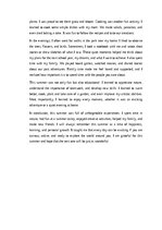 Essays 'How I Spent My Summer: Adventures, Learning, and Fun', 2.