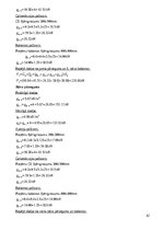Samples 'Dzelzsbetona konstrukcijas', 42.