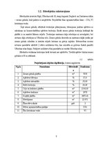 Term Papers 'Noliktavas ēka', 8.