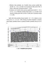 Term Papers 'Noliktavas ēka', 11.