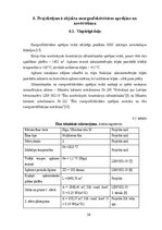 Term Papers 'Noliktavas ēka', 34.