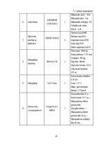 Term Papers 'Noliktavas ēka', 45.