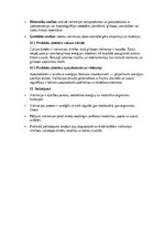 Essays 'Vielmaiņa – organisma ķīmisko procesu pārskats', 4.